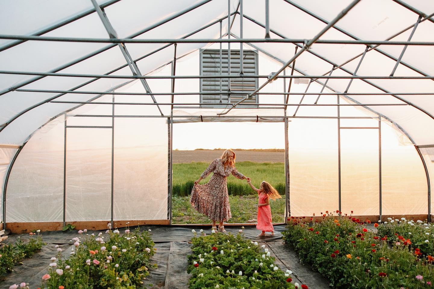 sunsetinflowerhightunnel