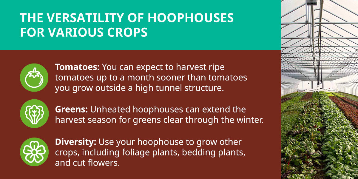 02-The-Versatility-of-Hoophouses-for-Various-Crops-R01