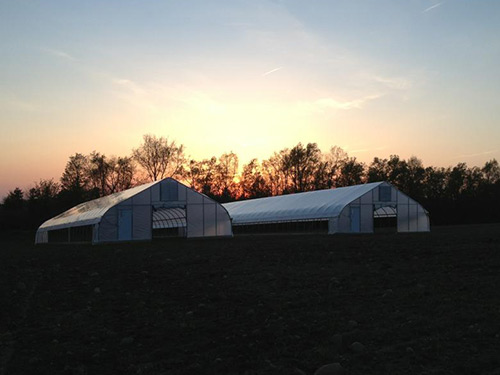 Nifty Hoops 30’ Gothic Hoophouse Sunset
